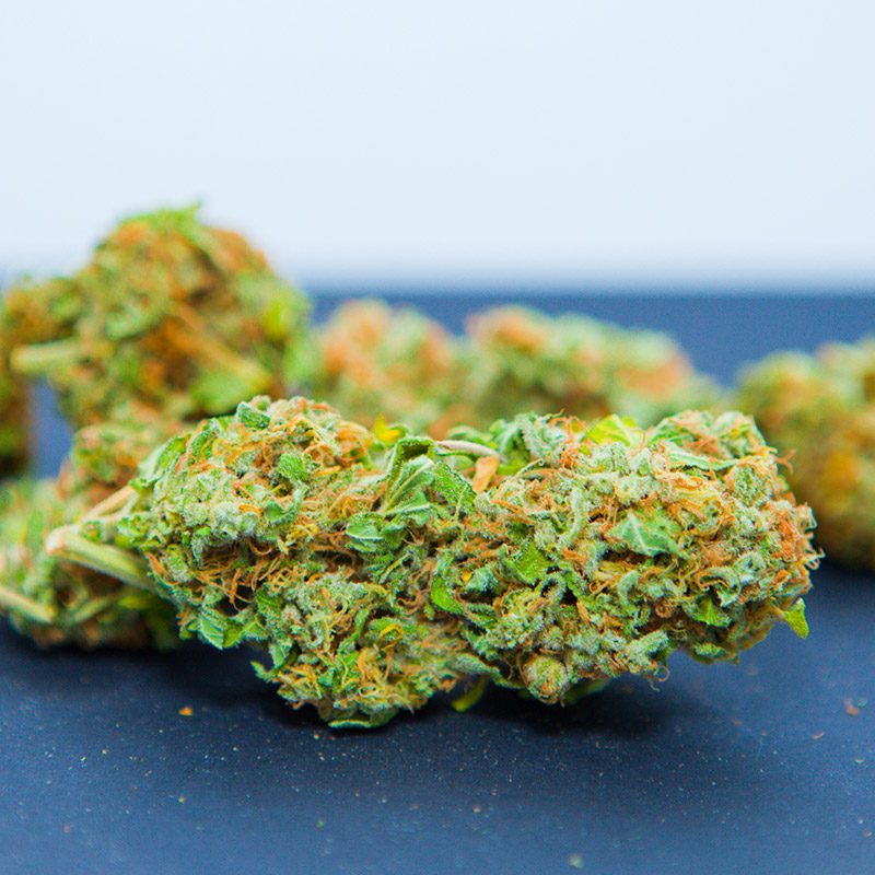 Super Skunk Automática Feminizada
