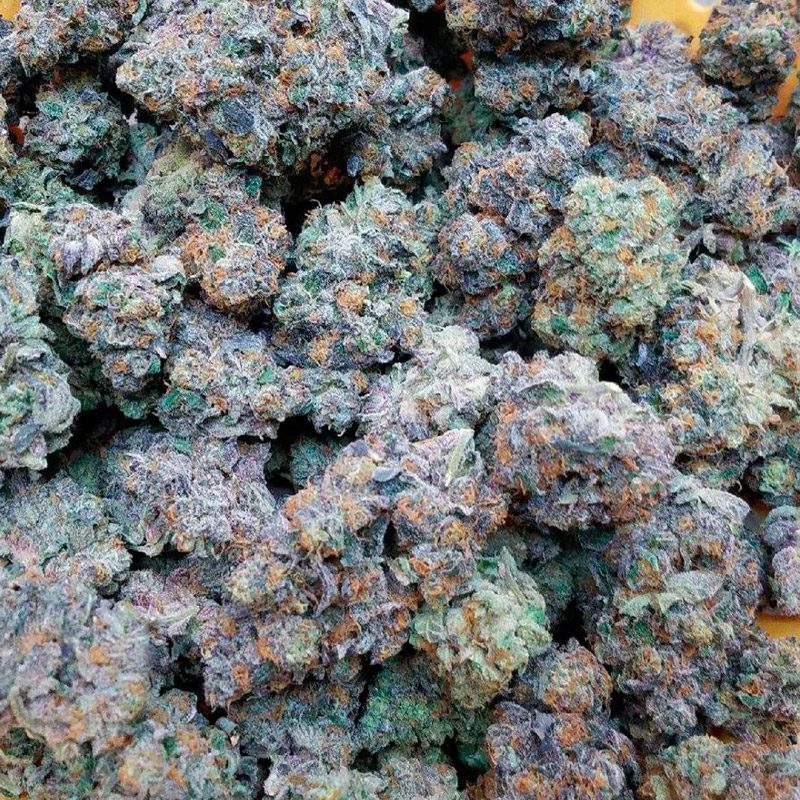Gelato 33